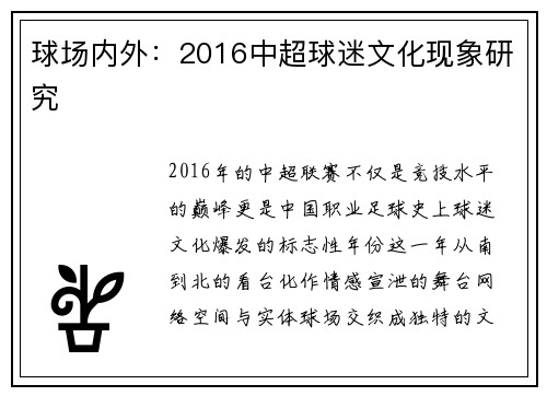 球场内外：2016中超球迷文化现象研究