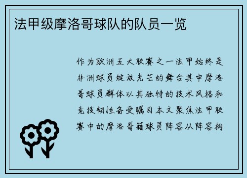 法甲级摩洛哥球队的队员一览