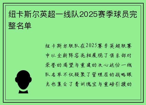 纽卡斯尔英超一线队2025赛季球员完整名单